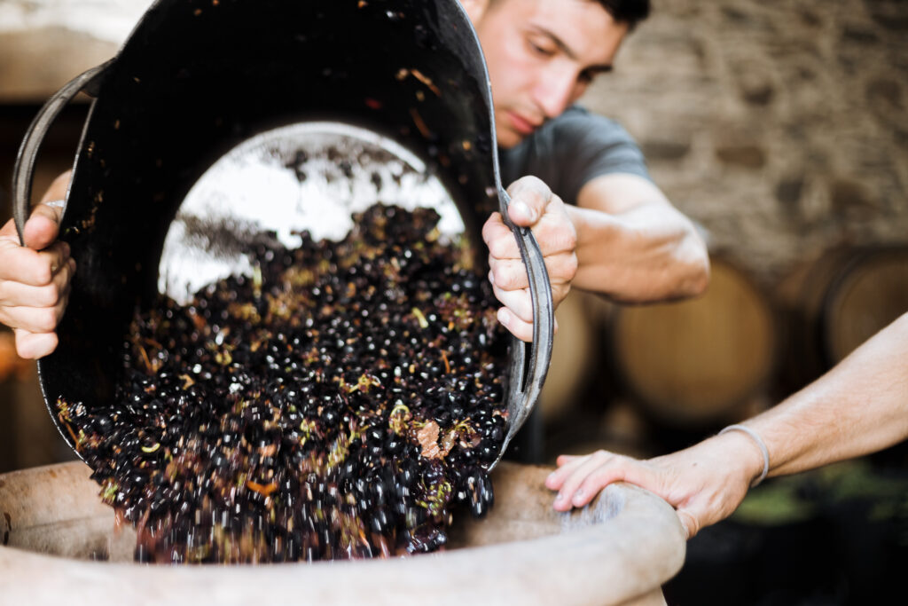 trabajo en bodega de vinos